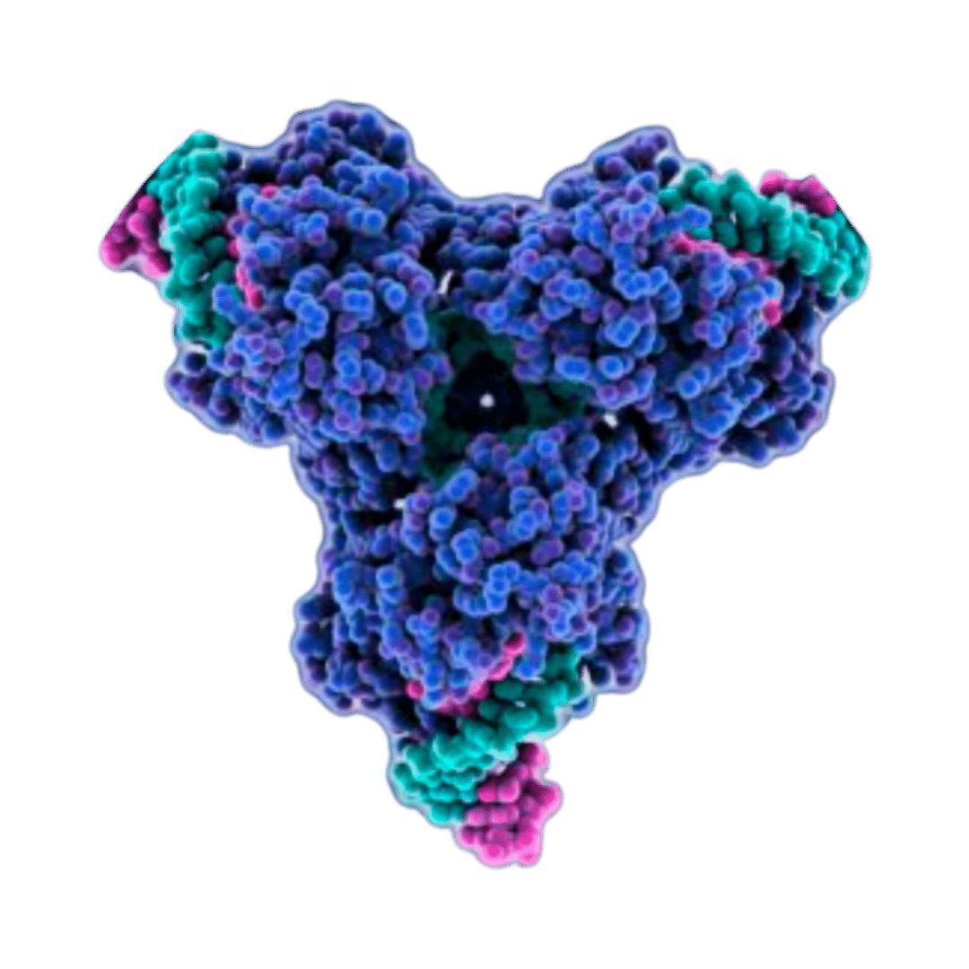 Cre Recombinase mRNA | Vernal Biosciences