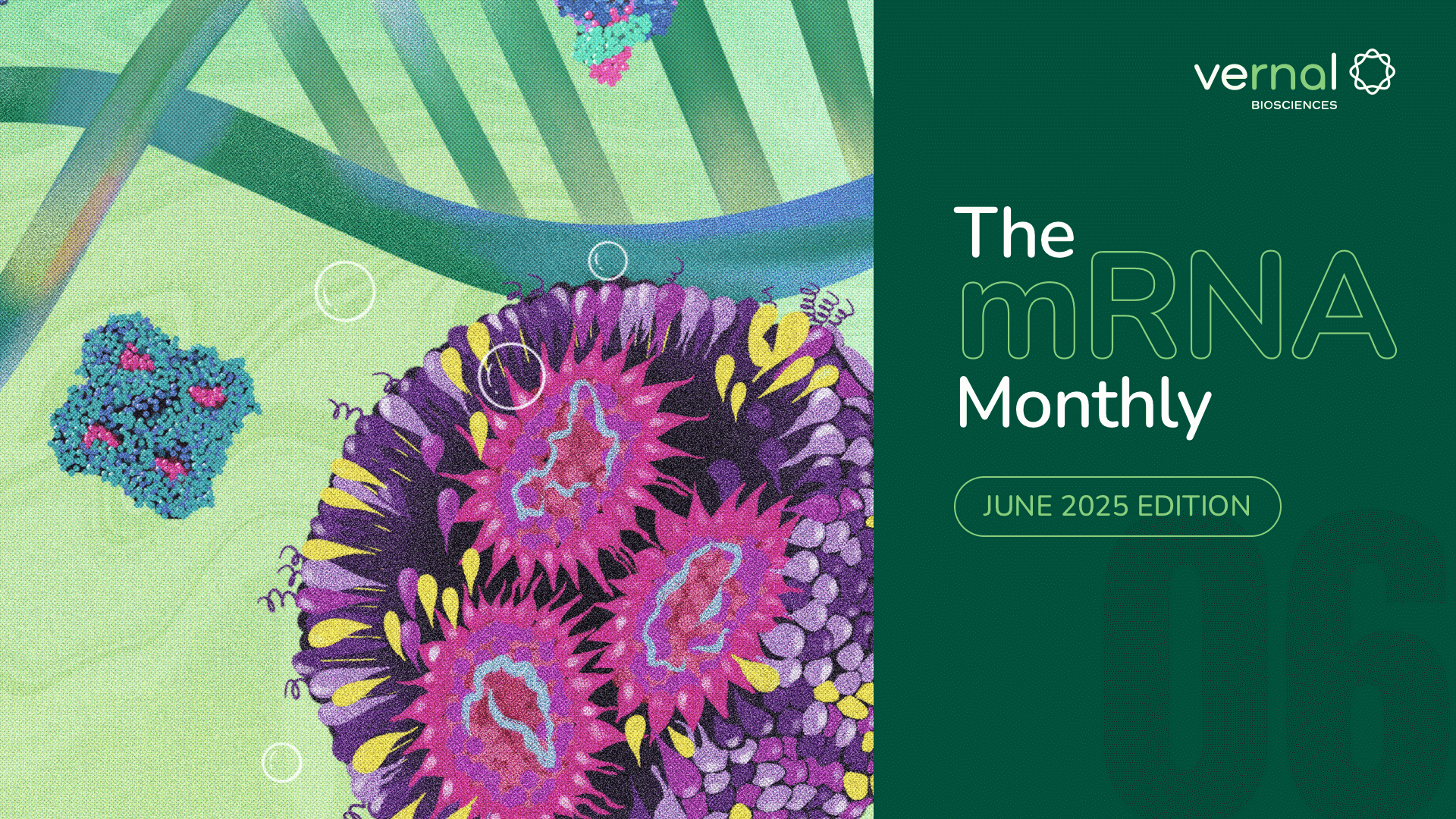June Monthly Newsletter