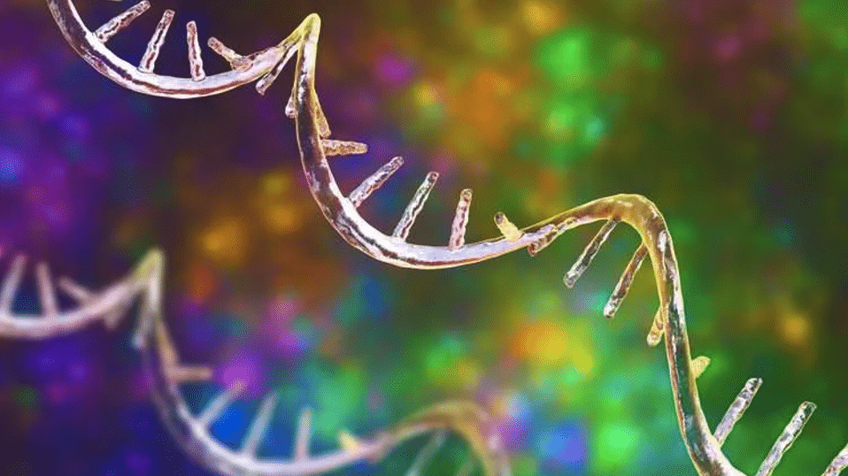 "The Evolving Needs of Therapeutic mRNA Developers" text over green background and DNA strand.